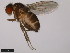 ( - 15000-2595.01)  @11 [ ] CreativeCommons - Attribution Non-Commercial Share-Alike (2011) ANIC/CBG Photography Group ANIC/Centre for Biodiversity Genomics