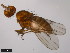  ( - 15010-0981.04)  @11 [ ] CreativeCommons - Attribution Non-Commercial Share-Alike (2011) ANIC/CBG Photography Group ANIC/Centre for Biodiversity Genomics