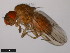  ( - 15010-1001.03)  @11 [ ] CreativeCommons - Attribution Non-Commercial Share-Alike (2011) ANIC/CBG Photography Group ANIC/Centre for Biodiversity Genomics