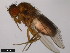  ( - 15010-1001.04)  @11 [ ] CreativeCommons - Attribution Non-Commercial Share-Alike (2011) ANIC/CBG Photography Group ANIC/Centre for Biodiversity Genomics