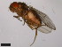  ( - 15010-1051.00)  @11 [ ] CreativeCommons - Attribution Non-Commercial Share-Alike (2011) ANIC/CBG Photography Group ANIC/Centre for Biodiversity Genomics
