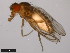  ( - 15010-1051.49)  @11 [ ] CreativeCommons - Attribution Non-Commercial Share-Alike (2011) ANIC/CBG Photography Group ANIC/Centre for Biodiversity Genomics