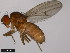  ( - 15010-1051.52)  @11 [ ] CreativeCommons - Attribution Non-Commercial Share-Alike (2011) ANIC/CBG Photography Group ANIC/Centre for Biodiversity Genomics