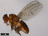  ( - 15010-1051.85)  @11 [ ] CreativeCommons - Attribution Non-Commercial Share-Alike (2011) ANIC/CBG Photography Group ANIC/Centre for Biodiversity Genomics