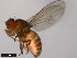  ( - 15010-1051.86)  @11 [ ] CreativeCommons - Attribution Non-Commercial Share-Alike (2011) ANIC/CBG Photography Group ANIC/Centre for Biodiversity Genomics