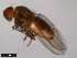  ( - 15010-1051.88)  @11 [ ] CreativeCommons - Attribution Non-Commercial Share-Alike (2011) ANIC/CBG Photography Group ANIC/Centre for Biodiversity Genomics