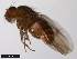  ( - 15020-1111.01)  @11 [ ] CreativeCommons - Attribution Non-Commercial Share-Alike (2011) ANIC/CBG Photography Group ANIC/Centre for Biodiversity Genomics