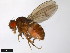  ( - 15020-1111.05)  @11 [ ] CreativeCommons - Attribution Non-Commercial Share-Alike (2011) ANIC/CBG Photography Group ANIC/Centre for Biodiversity Genomics