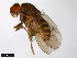  ( - 15020-1111.06)  @11 [ ] CreativeCommons - Attribution Non-Commercial Share-Alike (2011) ANIC/CBG Photography Group ANIC/Centre for Biodiversity Genomics