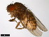  ( - 15020-1111.12)  @11 [ ] CreativeCommons - Attribution Non-Commercial Share-Alike (2011) ANIC/CBG Photography Group ANIC/Centre for Biodiversity Genomics