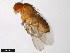  ( - 15070-1231.03)  @11 [ ] CreativeCommons - Attribution Non-Commercial Share-Alike (2011) ANIC/CBG Photography Group ANIC/Centre for Biodiversity Genomics