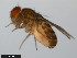  ( - 15081-1291.01)  @11 [ ] CreativeCommons - Attribution Non-Commercial Share-Alike (2011) ANIC/CBG Photography Group ANIC/Centre for Biodiversity Genomics