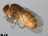  ( - 15081-1291.07)  @11 [ ] CreativeCommons - Attribution Non-Commercial Share-Alike (2011) ANIC/CBG Photography Group ANIC/Centre for Biodiversity Genomics