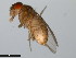  ( - 15081-1351.12)  @11 [ ] CreativeCommons - Attribution Non-Commercial Share-Alike (2011) ANIC/CBG Photography Group ANIC/Centre for Biodiversity Genomics
