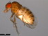  ( - 15081-1352.10)  @11 [ ] CreativeCommons - Attribution Non-Commercial Share-Alike (2011) ANIC/CBG Photography Group ANIC/Centre for Biodiversity Genomics