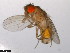  ( - 15081-1352.22)  @11 [ ] CreativeCommons - Attribution Non-Commercial Share-Alike (2011) ANIC/CBG Photography Group ANIC/Centre for Biodiversity Genomics