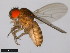  ( - 15081-1352.30)  @11 [ ] CreativeCommons - Attribution Non-Commercial Share-Alike (2011) ANIC/CBG Photography Group ANIC/Centre for Biodiversity Genomics