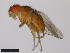  ( - 15081-1398.00)  @11 [ ] CreativeCommons - Attribution Non-Commercial Share-Alike (2011) ANIC/CBG Photography Group ANIC/Centre for Biodiversity Genomics