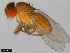  ( - 15081-1398.10)  @11 [ ] CreativeCommons - Attribution Non-Commercial Share-Alike (2011) ANIC/CBG Photography Group ANIC/Centre for Biodiversity Genomics
