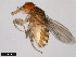  ( - 15081-1401.05)  @11 [ ] CreativeCommons - Attribution Non-Commercial Share-Alike (2011) ANIC/CBG Photography Group ANIC/Centre for Biodiversity Genomics