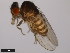  ( - 15084-1601.03)  @11 [ ] CreativeCommons - Attribution Non-Commercial Share-Alike (2011) ANIC/CBG Photography Group ANIC/Centre for Biodiversity Genomics