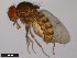  ( - 15084-1601.07)  @11 [ ] CreativeCommons - Attribution Non-Commercial Share-Alike (2011) ANIC/CBG Photography Group ANIC/Centre for Biodiversity Genomics