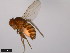 ( - 15084-1601.08)  @11 [ ] CreativeCommons - Attribution Non-Commercial Share-Alike (2011) ANIC/CBG Photography Group ANIC/Centre for Biodiversity Genomics