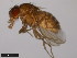  ( - 15084-1611.01)  @11 [ ] CreativeCommons - Attribution Non-Commercial Share-Alike (2011) ANIC/CBG Photography Group ANIC/Centre for Biodiversity Genomics