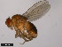  ( - 15100-1711.05)  @11 [ ] CreativeCommons - Attribution Non-Commercial Share-Alike (2011) ANIC/CBG Photography Group ANIC/Centre for Biodiversity Genomics