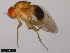  ( - 15111-1721.00)  @11 [ ] CreativeCommons - Attribution Non-Commercial Share-Alike (2011) ANIC/CBG Photography Group ANIC/Centre for Biodiversity Genomics