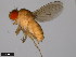  ( - 15111-1741.01)  @11 [ ] CreativeCommons - Attribution Non-Commercial Share-Alike (2011) ANIC/CBG Photography Group ANIC/Centre for Biodiversity Genomics