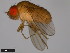  ( - 15112-1761.02)  @11 [ ] CreativeCommons - Attribution Non-Commercial Share-Alike (2011) ANIC/CBG Photography Group ANIC/Centre for Biodiversity Genomics