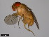  ( - 15112-1761.03)  @11 [ ] CreativeCommons - Attribution Non-Commercial Share-Alike (2011) ANIC/CBG Photography Group ANIC/Centre for Biodiversity Genomics