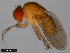  ( - 15112-1781.11)  @11 [ ] CreativeCommons - Attribution Non-Commercial Share-Alike (2011) ANIC/CBG Photography Group ANIC/Centre for Biodiversity Genomics