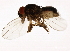  ( - 14011-0121.184)  @11 [ ] CreativeCommons - Attribution Non-Commercial Share-Alike (2010) CBG Photography Group Centre for Biodiversity Genomics