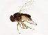  ( - 14011-0121.188)  @11 [ ] CreativeCommons - Attribution Non-Commercial Share-Alike (2010) CBG Photography Group Centre for Biodiversity Genomics