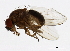  ( - 14011-0151.00)  @11 [ ] CreativeCommons - Attribution Non-Commercial Share-Alike (2010) CBG Photography Group Centre for Biodiversity Genomics