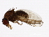  ( - 14011-0151.01)  @11 [ ] CreativeCommons - Attribution Non-Commercial Share-Alike (2010) CBG Photography Group Centre for Biodiversity Genomics
