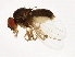  ( - 14011-0121.101)  @11 [ ] CreativeCommons - Attribution Non-Commercial Share-Alike (2010) CBG Photography Group Centre for Biodiversity Genomics