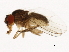  ( - 14011-0121.105)  @11 [ ] CreativeCommons - Attribution Non-Commercial Share-Alike (2010) CBG Photography Group Centre for Biodiversity Genomics