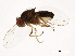  ( - 14011-0121.132)  @11 [ ] CreativeCommons - Attribution Non-Commercial Share-Alike (2010) CBG Photography Group Centre for Biodiversity Genomics