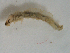  ( - v208 TY)  @13 [ ] Copyright (2008) Unspecified University of Delaware