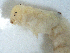  ( - v213 TY)  @13 [ ] Copyright (2008) Unspecified University of Delaware