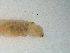  ( - v213 TY)  @13 [ ] Copyright (2008) Unspecified University of Delaware