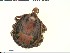  ( - NMNH-2020-031-E06)  @11 [ ] No Rights Reserved (2020) Yvonne Linton Smithsonian Institution National Museum of Natural History