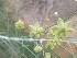  ( - H6_K1214_Unknown_sp)  @11 [ ] CreativeCommons - Attribution Non-Commercial Share-Alike (2014) Dr. Robert Pringle Mpala Research Centre