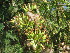  ( - G11_K1214_Unknown_sp)  @11 [ ] CreativeCommons - Attribution Non-Commercial Share-Alike (2014) Dr. Robert Pringle Mpala Research Centre