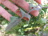  ( - G11_K1214_Unknown_sp)  @11 [ ] CreativeCommons - Attribution Non-Commercial Share-Alike (2014) Dr. Robert Pringle Mpala Research Centre