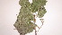  ( - TK1_G10_FIELD)  @11 [ ] CreativeCommons - Attribution Non-Commercial Share-Alike (2017) Unspecified Mpala Research Centre