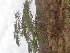  ( - TK1_E3_NMK)  @11 [ ] CreativeCommons - Attribution Non-Commercial Share-Alike (2017) Unspecified Mpala Research Centre